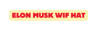 Elon musk wif hat